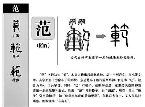 丁金意思|丁字形演变字源